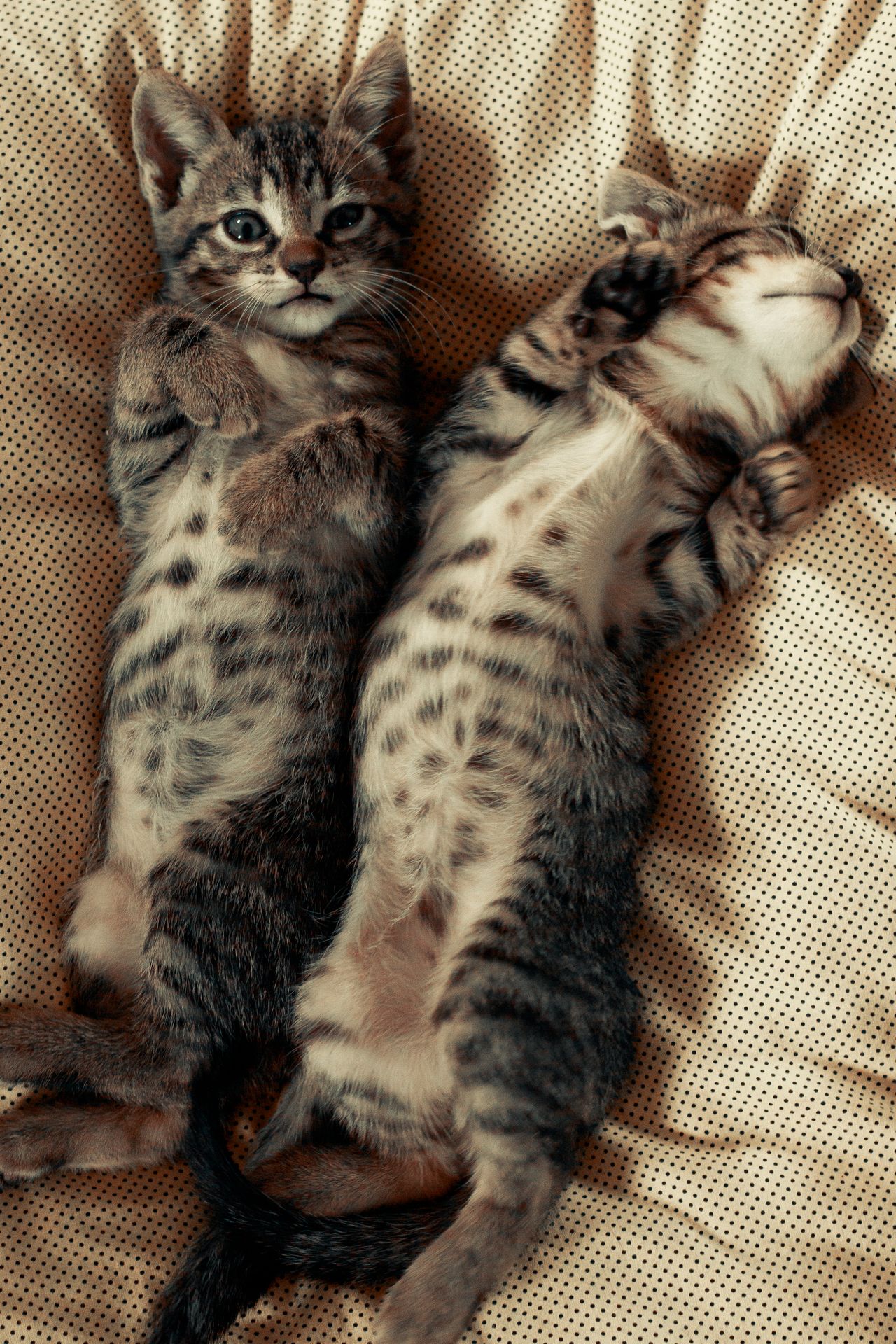 Relax